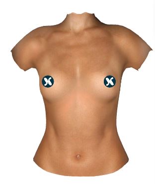 Your Breasts Before